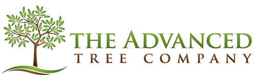 WELCOME - The Advanced Tree Company